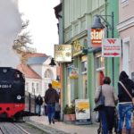 Molli Bahn (6)