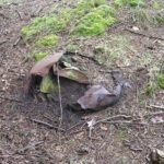 Operation Backfire Raketenbahnhof Wernerwald Cuxhaven (3)