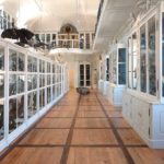 Bamberg Vogelsaal (3)