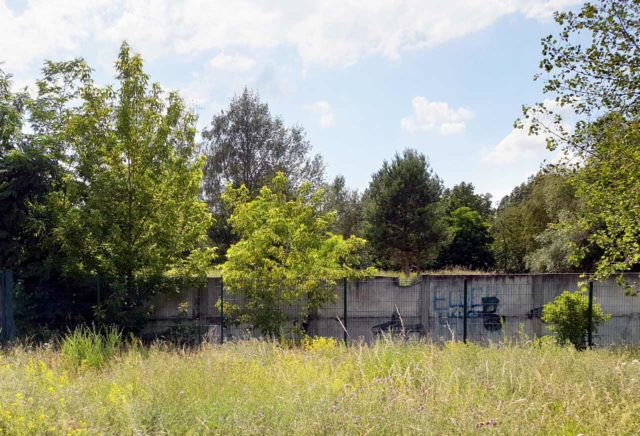 Berliner Mauerweg (6) Berliner Mauerweg