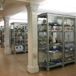 Berliner Medizinhistorische Museum (5)