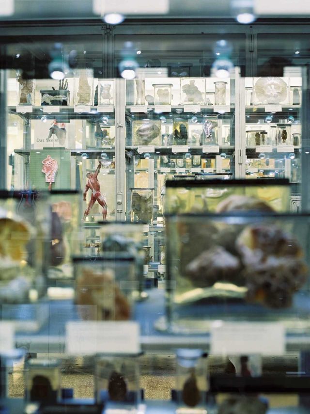 Berliner Medizinhistorische Museum