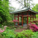 Botanischer Garten Berlin (3)
