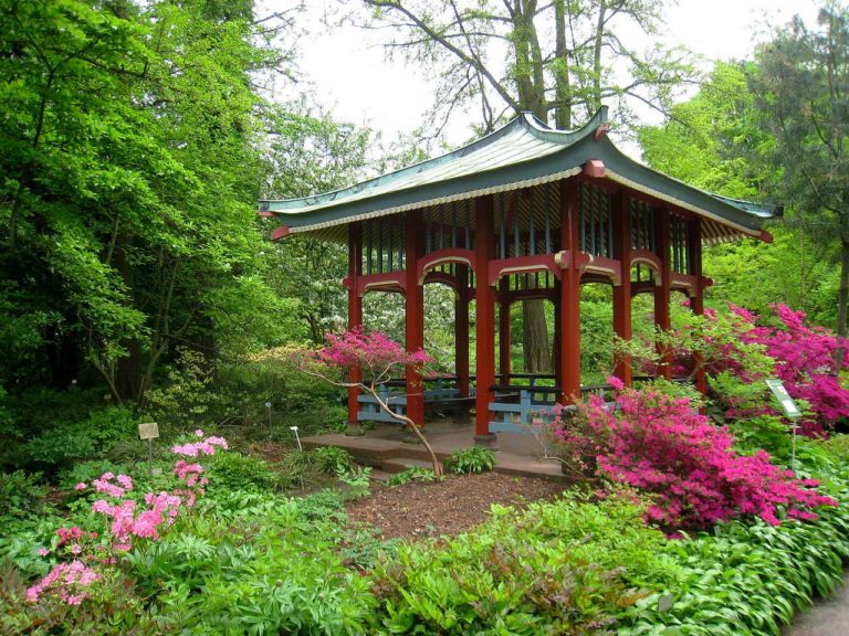48+ Kann Man Pflanzen In Berlin In Botanische Garten Pflanze Kaufen,