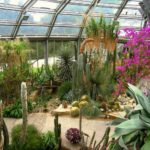 Botanischer Garten Berlin (4)