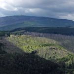 Brocken im Nationalpark Harz