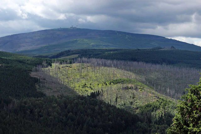 Brocken im Nationalpark Harz