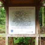 Bräutigamseiche Eutin (6)