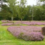 Gedenkstätte KZ Bergen-Belsen (2)