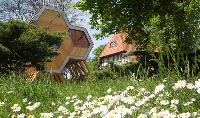Die „Bienenstock-Jugendherberge“ Beckerwitz