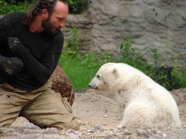 Knut der Eisbär Pfleger Thomas Dörflein