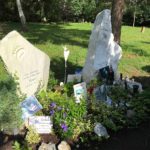 Knut der Eisbär (4)