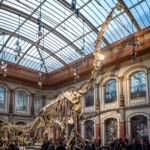 Museum für Naturkunde Berlin (3)