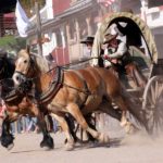 Pullman City Harz (1)