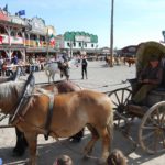Pullman City Harz (3)