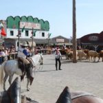 Pullman City Harz (5)