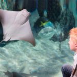 SEA LIFE (3)