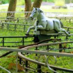 Spreepark Berlin (3)