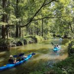 Spreewald (3)