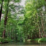 Spreewald (4)
