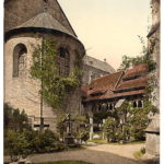 Tausendjähriger Rosenstock Hildesheim (2)