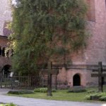 Tausendjähriger Rosenstock Hildesheim (3)