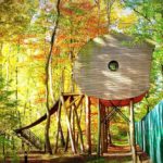 Tree Inn Baumhaushotel (5)