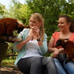 ZOOM Erlebniswelt Gelsenkirchen (13)