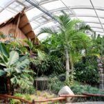 ZOOM Erlebniswelt Gelsenkirchen (8)