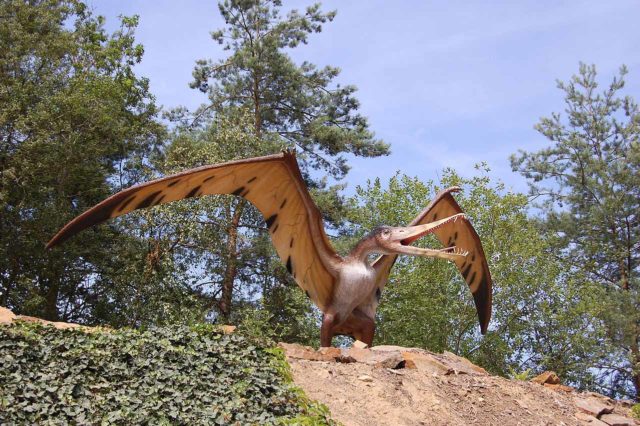 Dinosaurierpark Münchehagen (1) Dinosaurierpark Münchehagen