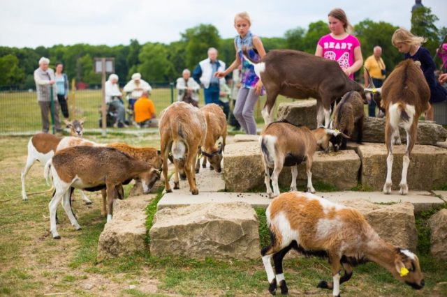 Freizeit und Erholungspark Possen