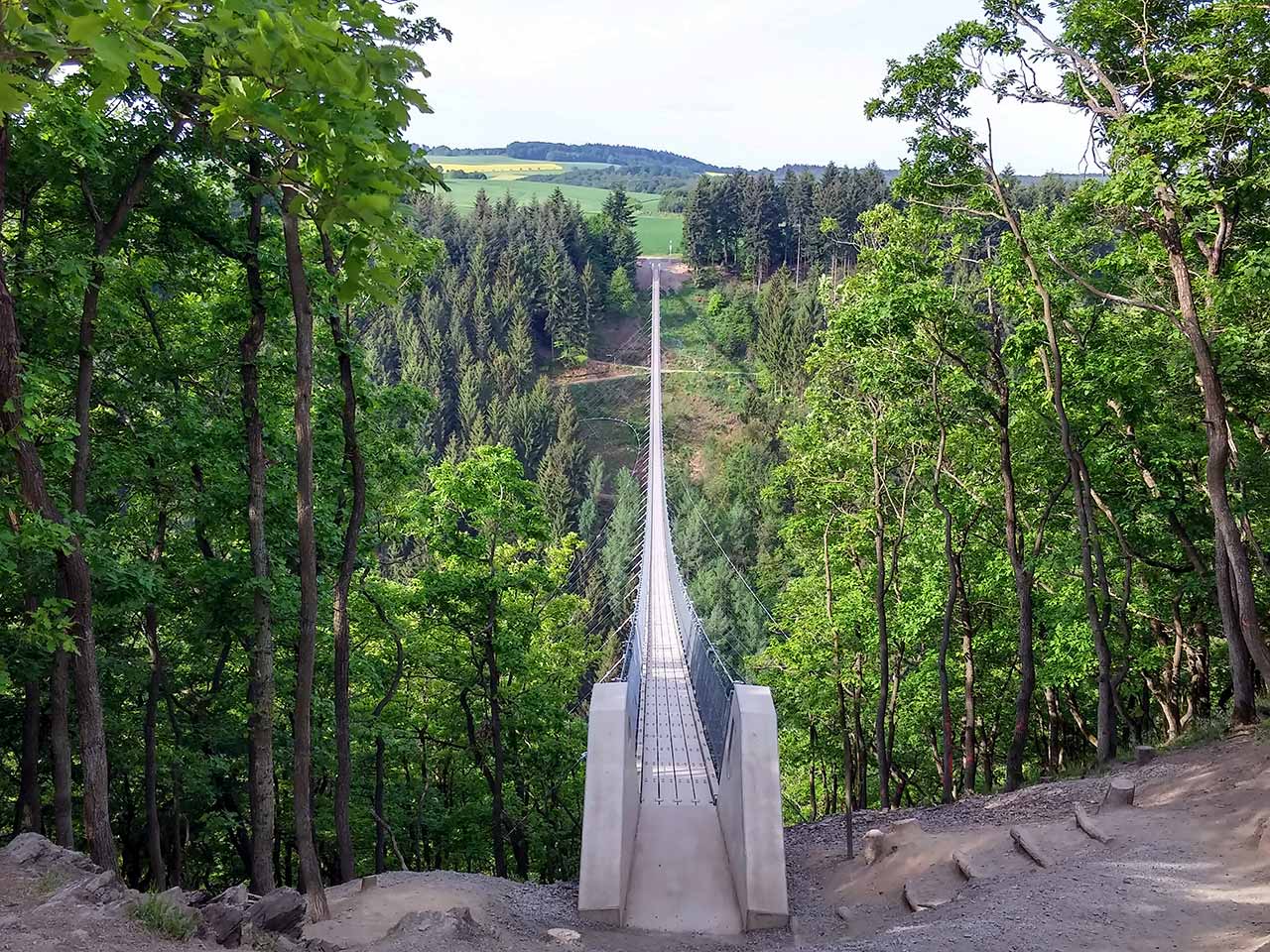 Geierlay Hängeseilbrücke