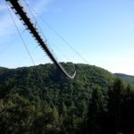 Geierlay Hängeseilbrücke (8)