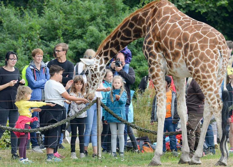 Freizeitpark „Jaderpark“ Eintritt, Öffnungszeiten, Infos & Attraktionen Deutschland mal anders