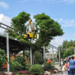 Jaderpark (6)