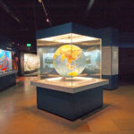 Museum Mensch und Natur (2)
