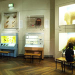 Museum Mensch und Natur (3)
