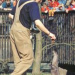Otter-Zentrum Hankensbüttel (3)