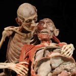 Plastinarium Guben (1)