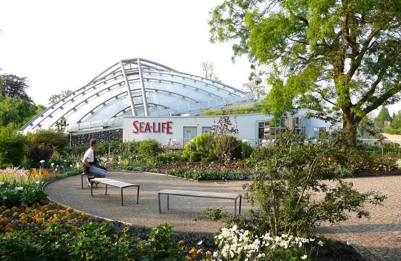 Sea Life Hannover Parken De Autos Gallerie