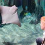 SEA LIFE München (3)