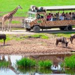Serengeti-Park (3)