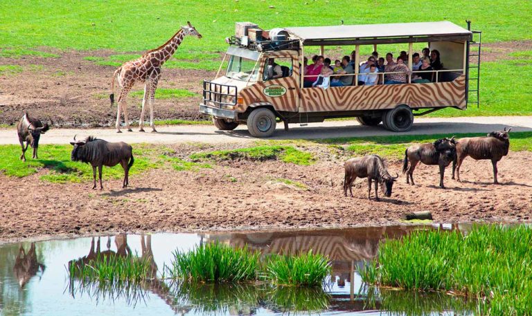 Tier- und Freizeitpark „Serengeti-Park“