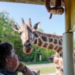 Serengeti-Park (7)
