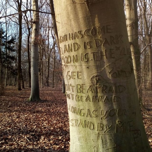 Stand by Me Baum Berlin Stand by Me Baum Berlin