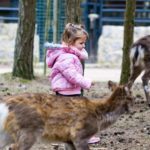 Tierpark Germendorf (2)