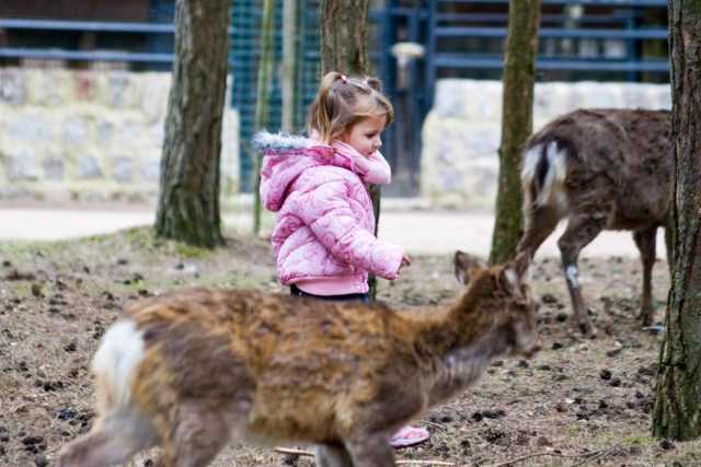 Tierpark Germendorf