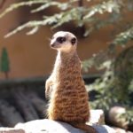 Tierpark Germendorf (5)