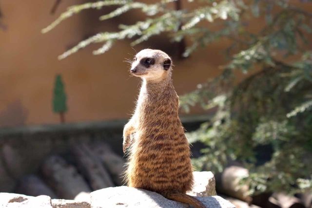 Tierpark Germendorf