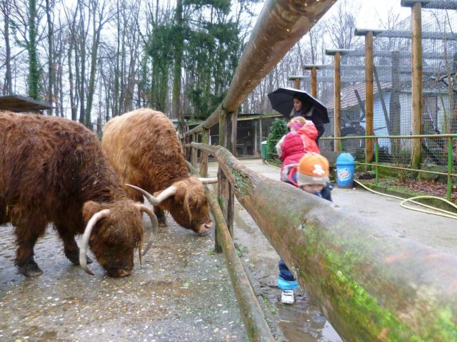 Waldzoo Offenbach